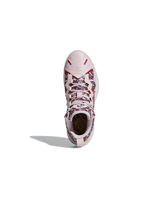 Adidas Purple D Rose Son Of Chi 'Clear' for men