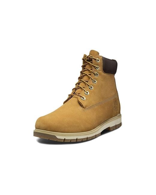 Timberland Brown 6-Inch Radford Waterproof Boots 'Wheat' for men