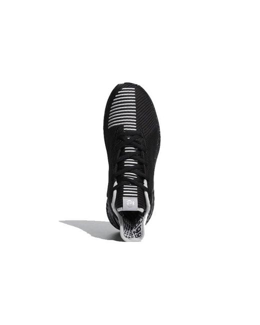 Adidas Black D Rose 9 '50-Point Game' Special Box for men