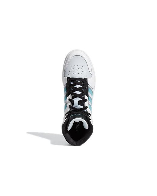 Adidas Blue Entrap Mid for men