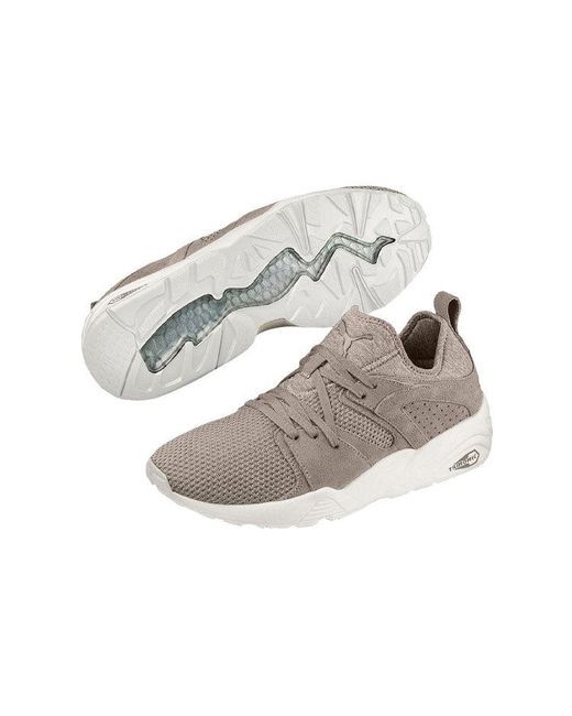 PUMA Brown Blaze Ct for men