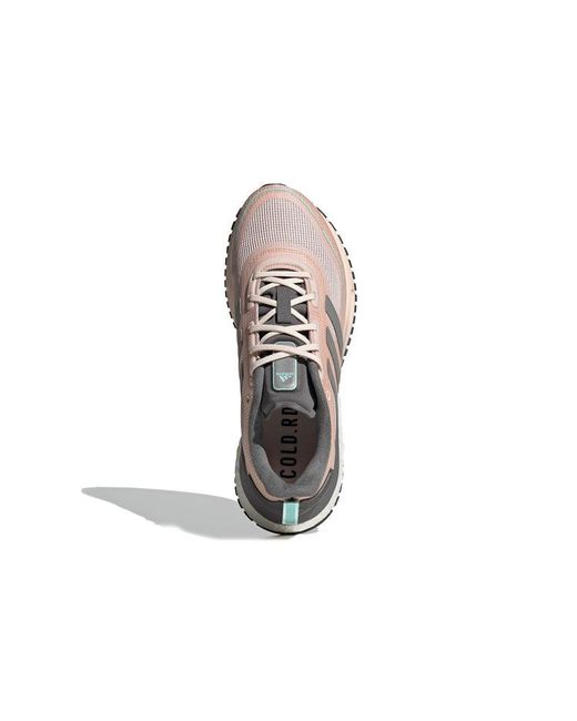 Adidas Pink (Wmns) Supernova Cold.Rdy Tint'