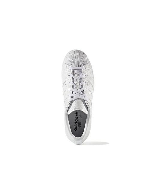 Adidas White (Wmns) Superstar W Core'
