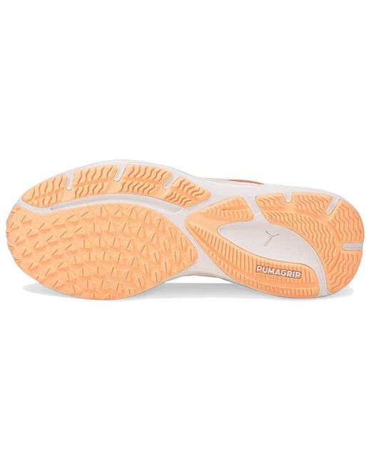 PUMA Pink (Wmns) Velocity Nitro 2 Wildwash 'Fizzy Melon'