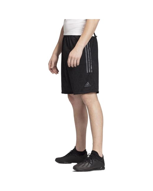 Adidas Black Tan Jacquard Shorts for men