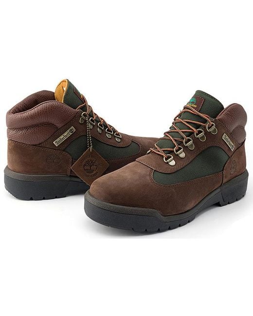 Timberland Brown Field Boot F/L Waterproof for men