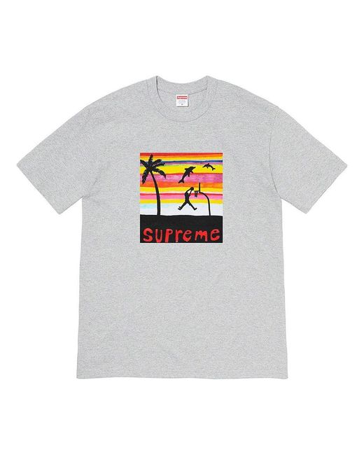 Supreme Gray Week 8 Dunk Tee Pattern Printing Round Neck Short Sleeve for men