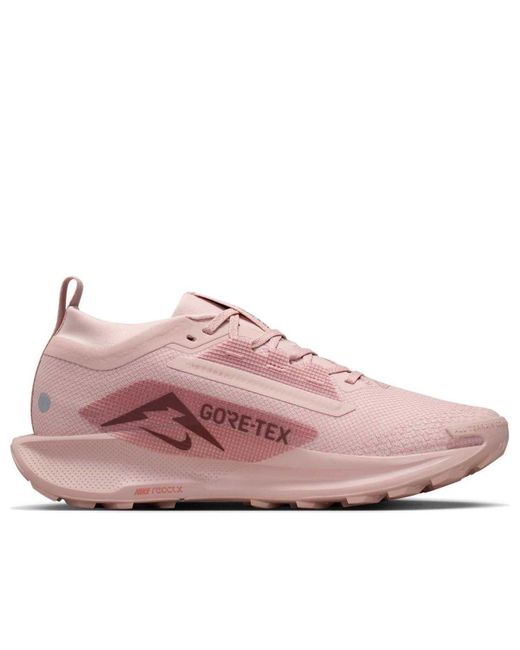 Nike Pink (Wmns) Pegasus Trail 5 Gtx Oxford'
