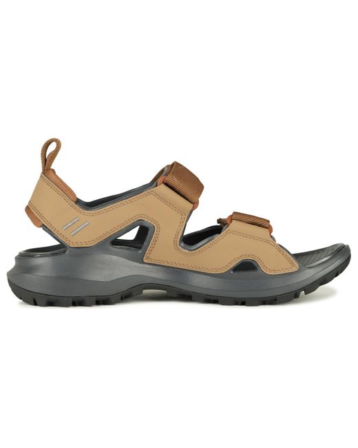 The North Face Brown Hedgehog Sandals Iii for men