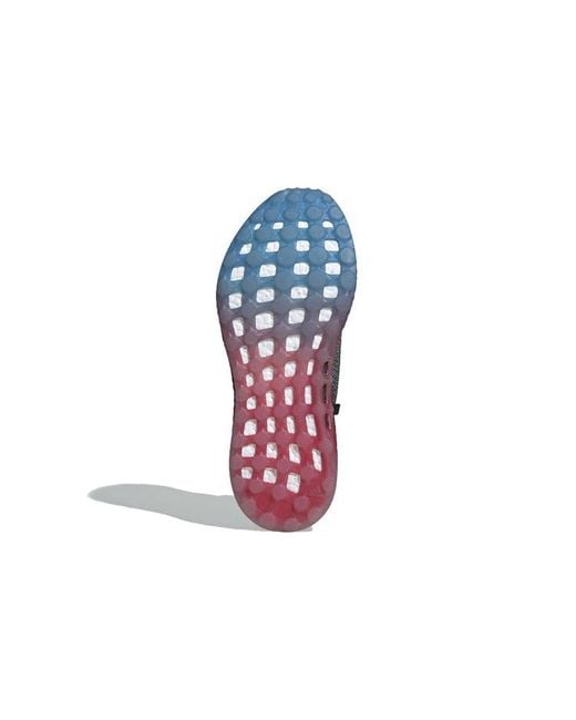 Adidas Blue Pureboost Ltd for men