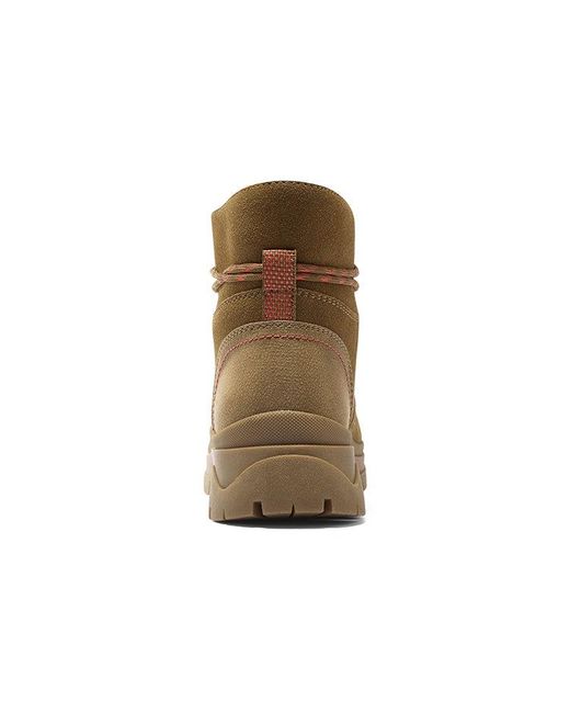Skechers Brown (Wmns) Bobs Broadies
