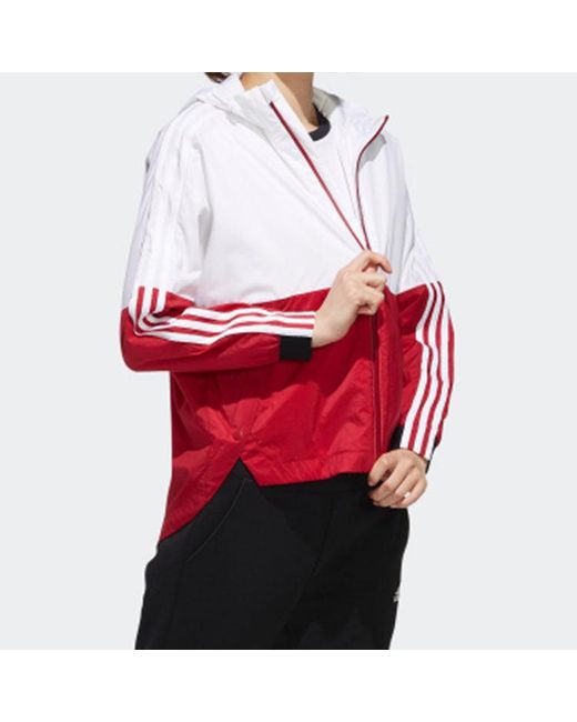 Adidas Red (Wmns) Sportswear Jacket Eh3853