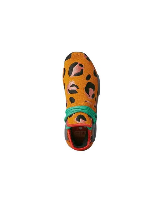 Adidas Blue X Pharrell Nmd Hu 'Animal Print' for men