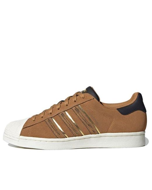 Adidas Brown Originals Superstar Cny for men