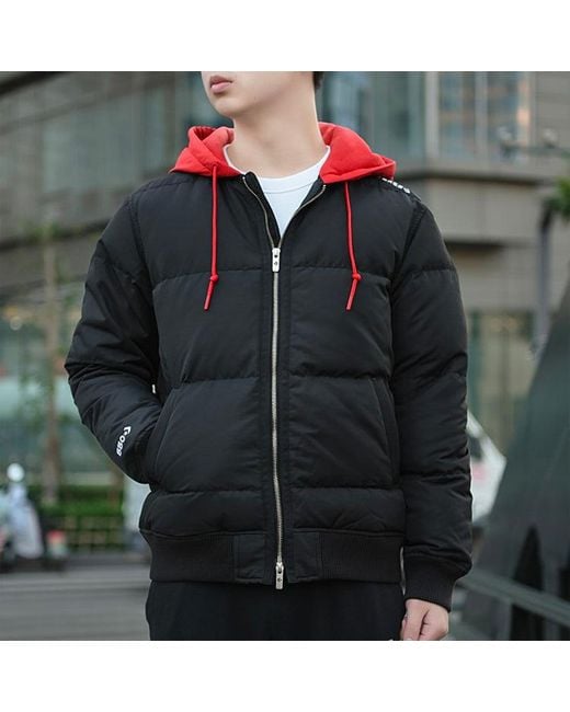 Converse Blue Court Down Bomber Jacket for men