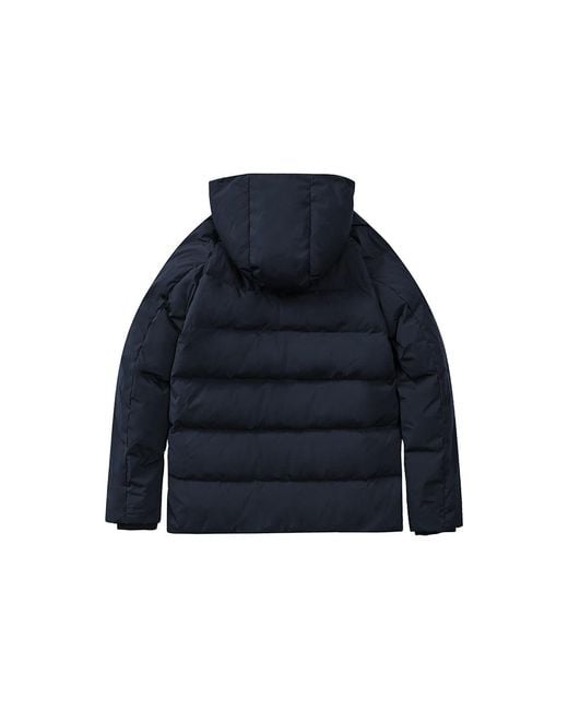 Under Armour Blue (Wmns) Logo Training Hooded Down Jacket
