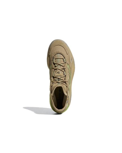 Adidas Brown Streetball 2.0 for men
