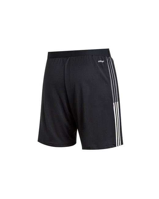 Adidas Blue Tiro21 Tr Sho 3 Bands Soccer Sport Shorts for men