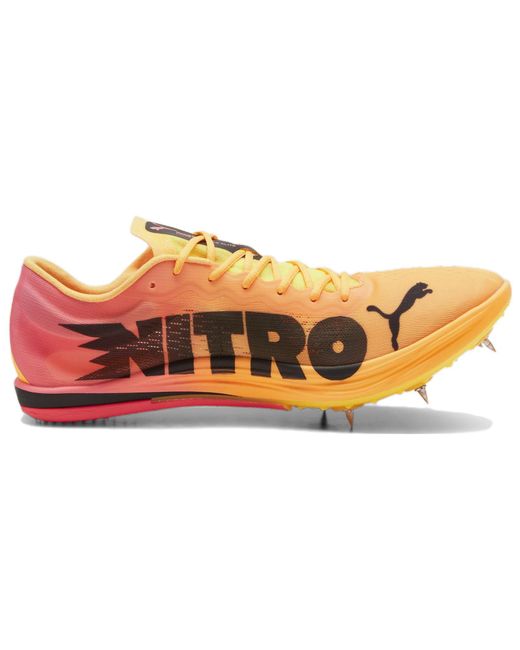 PUMA Orange Evospeed Nitro Elite 2 'Sun Stream Sunset Glow' for men