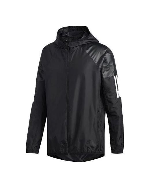 Adidas Blue M Wind Fz Jkt Training Sports Hooded Jacket for men