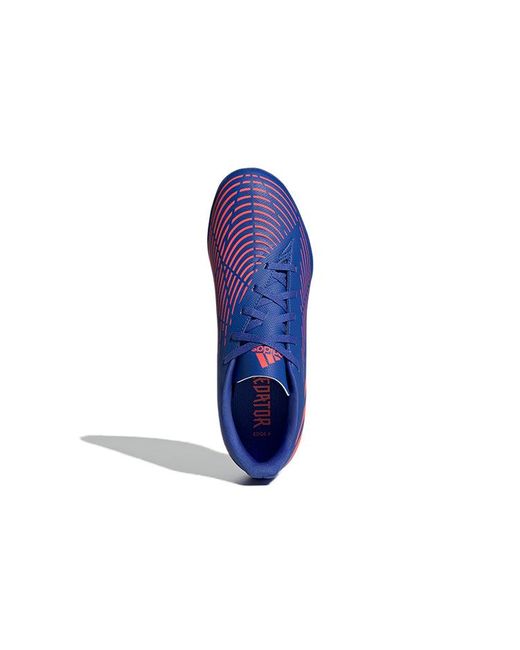 Adidas Blue Predator Edge.4 Tf for men