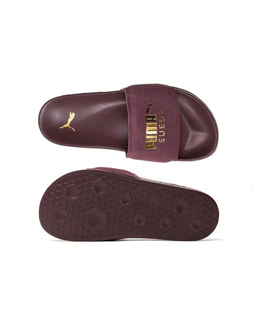 PUMA Brown Leadcat Suede Slide 'Vineyard Wine' for men