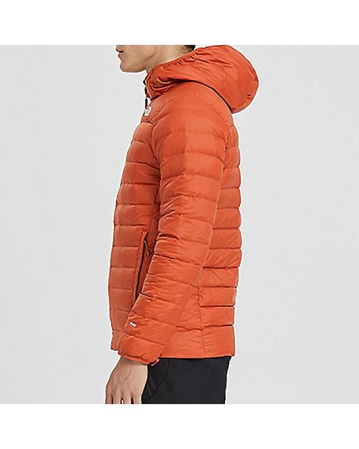 The North Face Red Summit Series Down Jacket for men