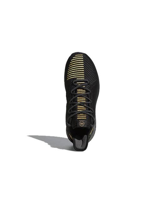 Adidas Black D Rose 9 for men
