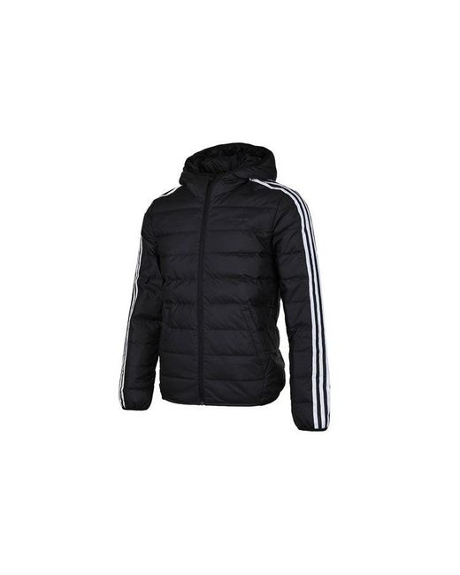 Adidas Blue Neo Windproof Stay Warm Casual Hooded Zipper Down Jacket for men