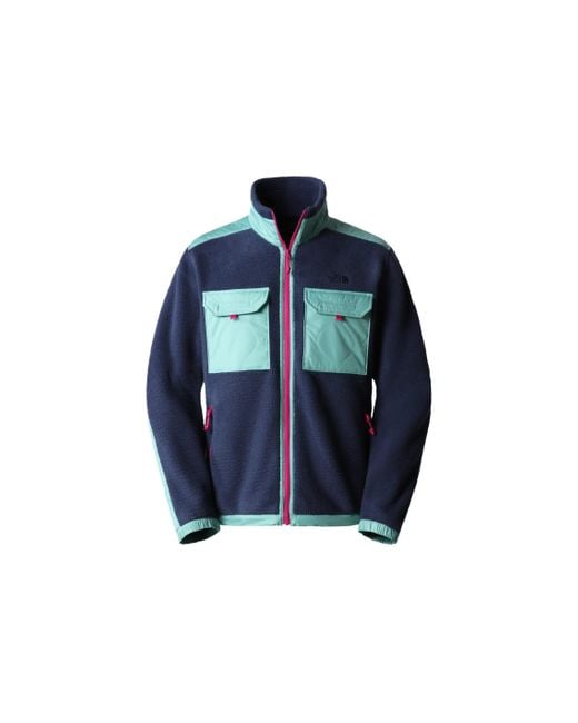 The North Face Blue Fleece Jacket for men