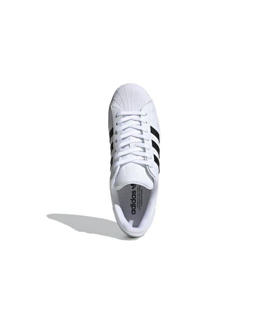 Adidas White Superstar Mg
