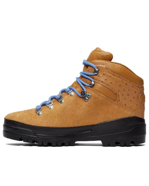 Timberland Brown X Stussy World Hiker Boot for men
