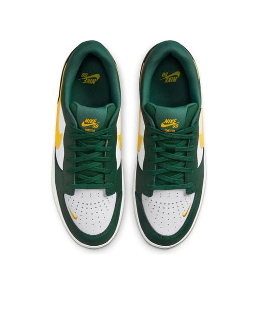 Nike Blue Force 58 Sb Premium 'Gorge Tour' for men