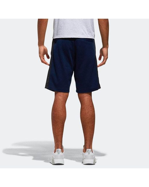 Adidas Blue Neo Cs Cnt Gr St2 Casual Breathable Sports Knit Shorts for men
