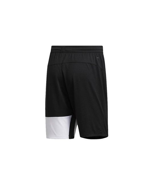 Adidas Black Athleisure Casual Sports Breathable Shorts for men