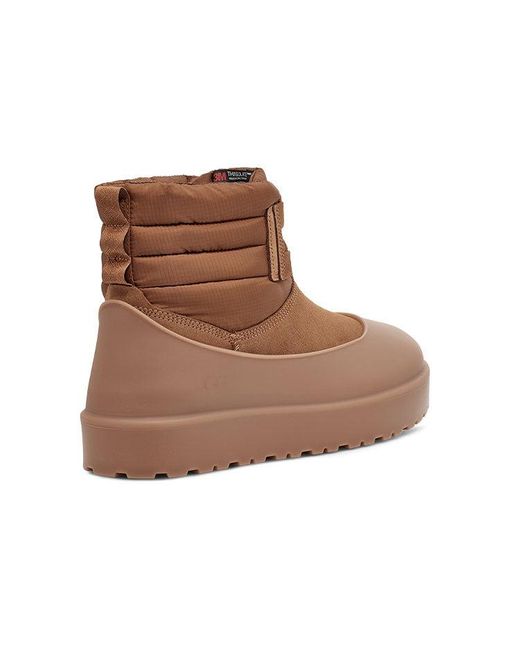 Ugg Brown Classic Mini Lace-Up Weather Boot 'Chestnut' for men