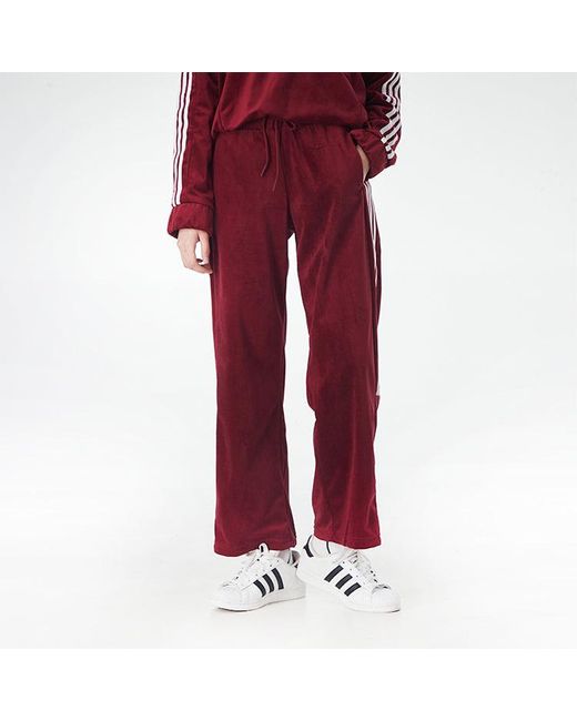 Adidas Red (Wmns) Neo Cs Tp Velour Pants