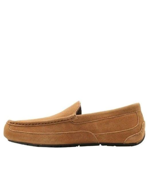 Ugg Brown Alder Slipper 'Chestnut' for men