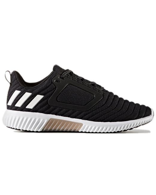 Adidas Black (Wmns) Climawarm Atr W