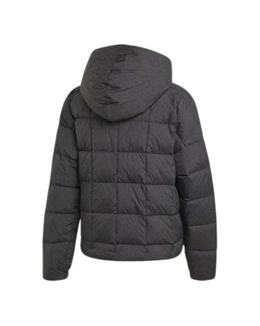 Adidas Gray Z.N.E Down Hooded Jacket for men