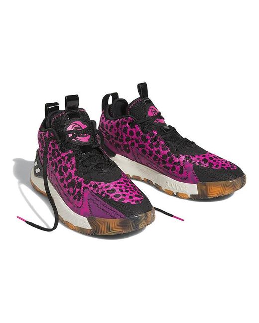 Adidas Purple D Rose Son Of Chi 2.0 X Derrick Rose for men