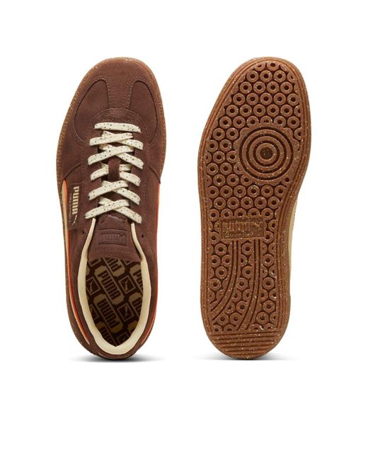 PUMA Brown Palermo Cannoli 'Espresso Vanilla' for men