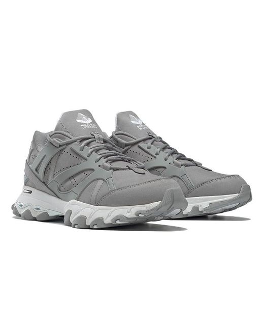 Reebok Gray Mountain Research X Dmx Trail Shadow for men