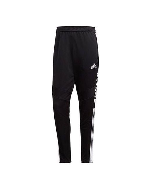 Adidas Black Tiro Ds Pnt Footballsports Long Pants for men