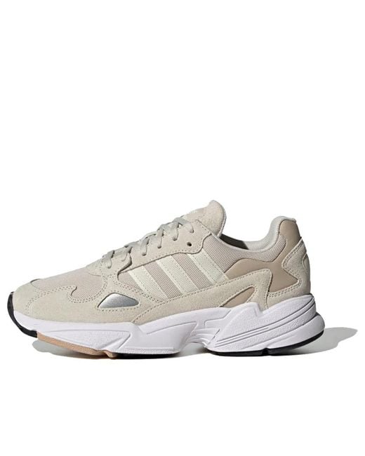 Adidas White (Wmns) Falcon
