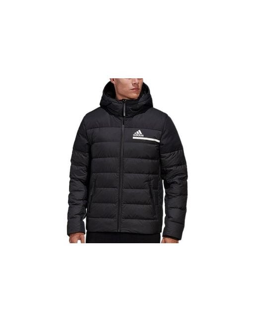 Adidas Blue Outdoor Sports Slim Fit Hooded Down Jacket for men