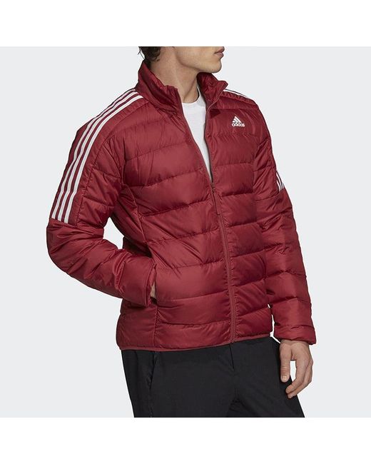 Adidas Red Logo Printing Stand Collar Stay Warm Sports Down Jacket for men