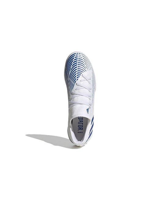 Adidas Blue Predator Edge.3 L Tf for men