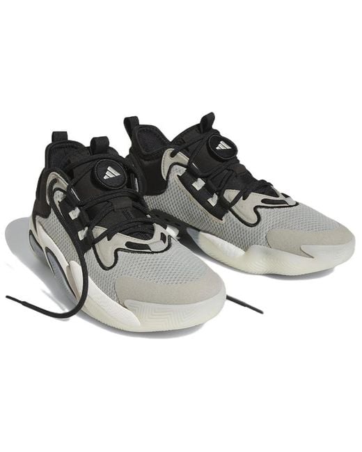 Adidas Brown Byw Select Basketball Shoes for men
