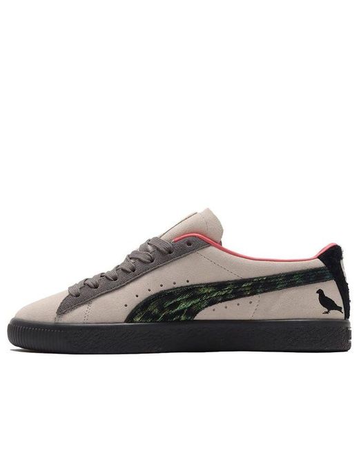 PUMA Atmos X Jeff Staple X Suede 'Pigeon And Crow' in Brown for